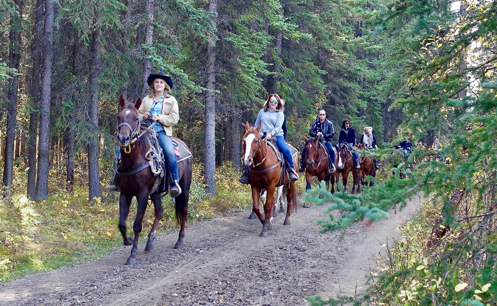 Horse Riding dans Pike Creek Delaware EU